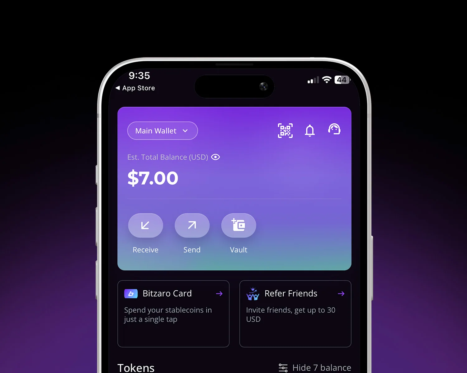 Bitzaro Wallet showing card balance and controls