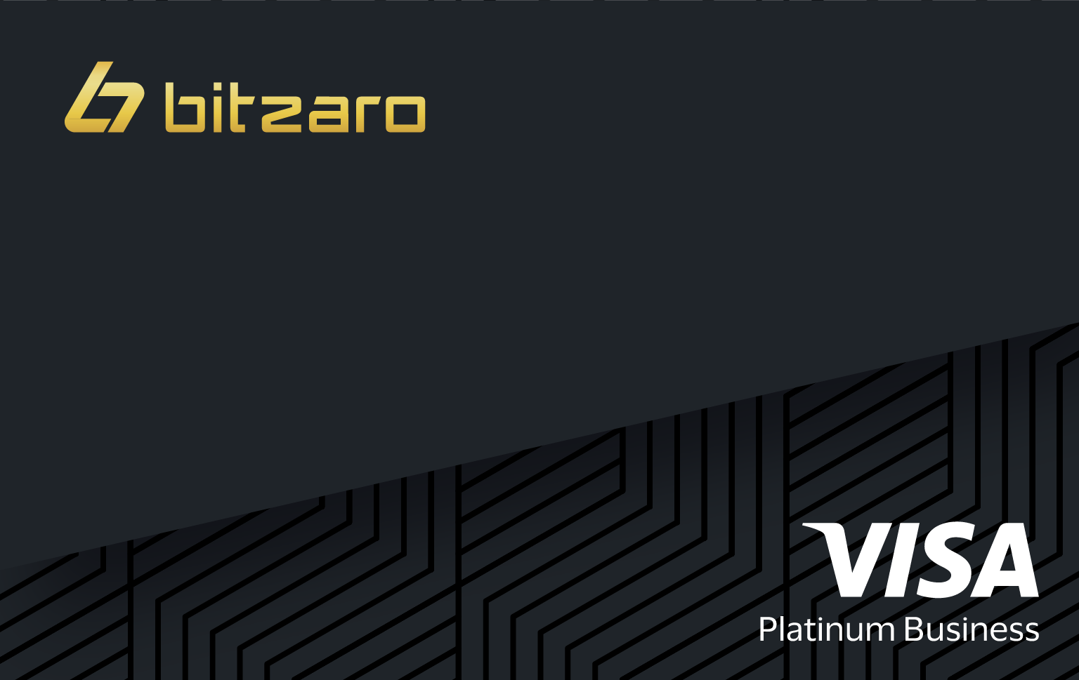 D-Bitzaro-DigitalCard(1) - Xummer Lai